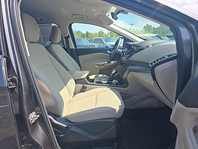 Photo of 2019 Magnetic Ford Escape