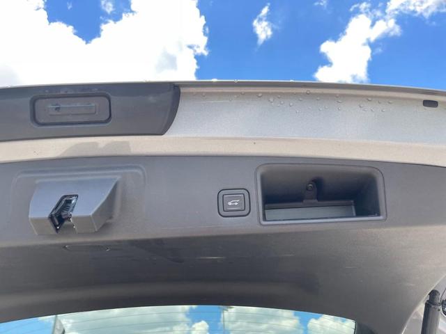 Photo of 2024 Sterling GMC Terrain