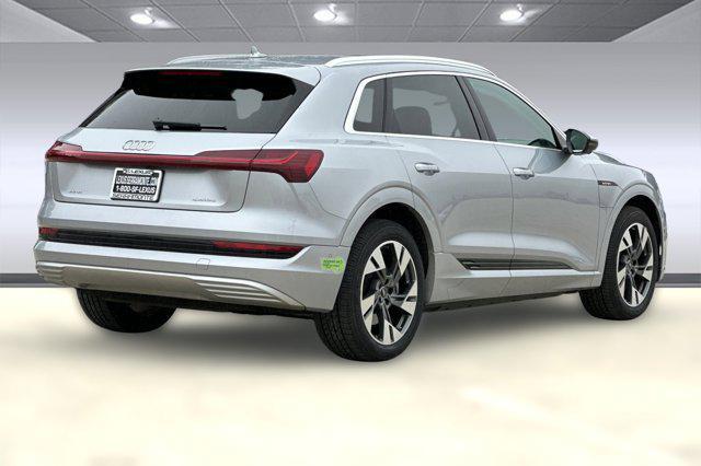 Photo of 2023 Florett Silver Metallic Audi e-tron