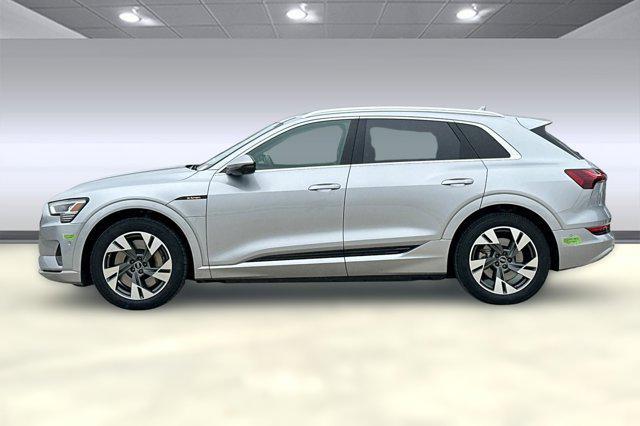 Photo of 2023 Florett Silver Metallic Audi e-tron