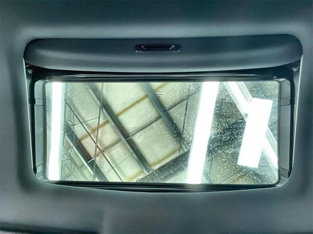 Photo of 2023 Blue Honda Passport