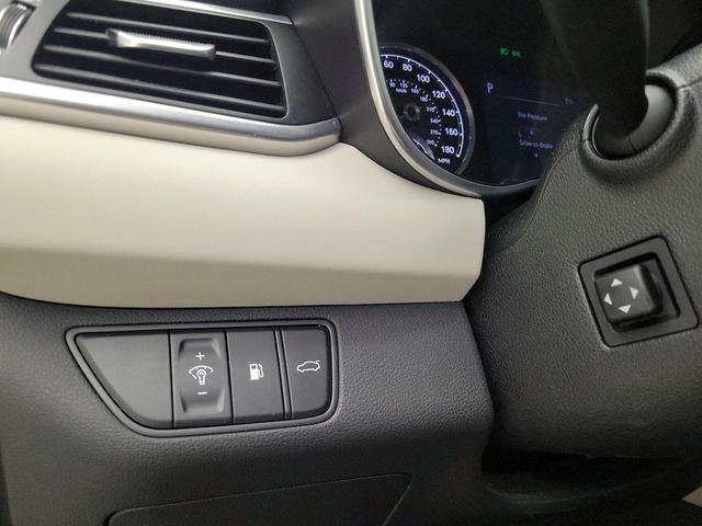 Photo of 2022 Gray Genesis G70