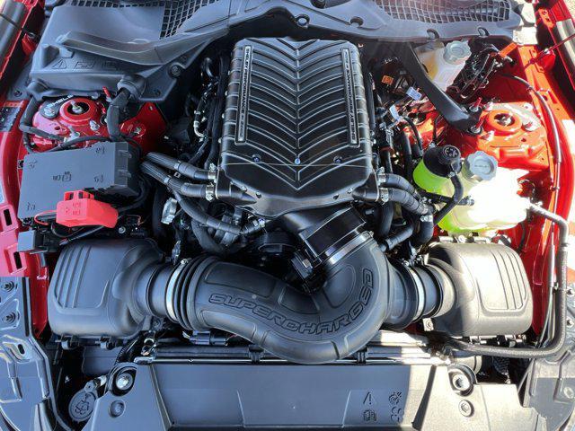 Photo of 2025 RACE RED Ford Mustang