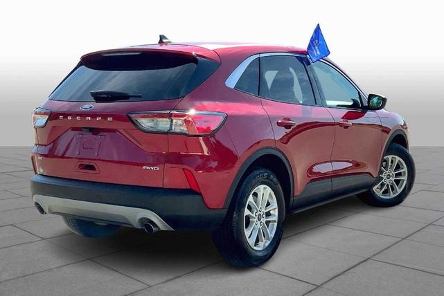 Photo of 2022 Rapid Red Metallic Tinted Clearcoat Ford Escape