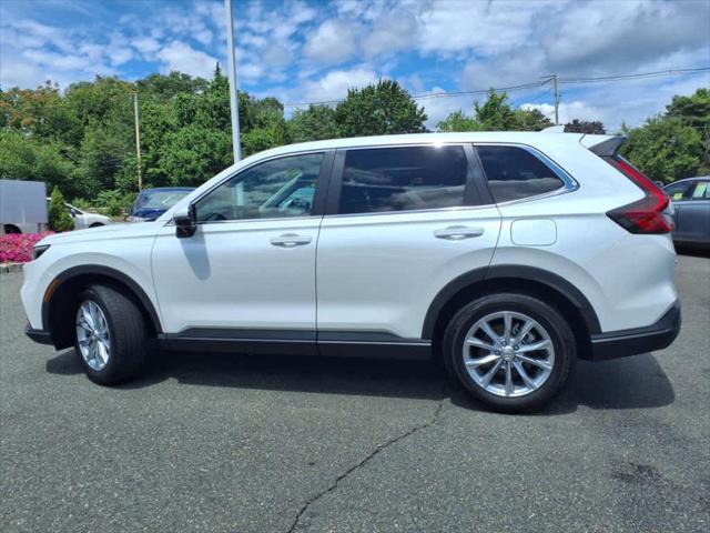 Photo of 2024 Platinum White Pearl Honda CR-V