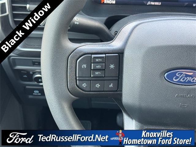 Photo of 2025 Blue Ford F-150