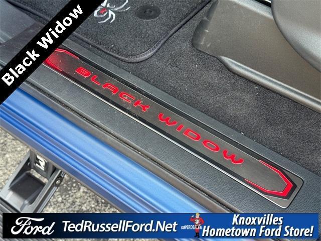 Photo of 2025 Blue Ford F-150