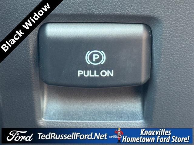 Photo of 2025 Blue Ford F-150