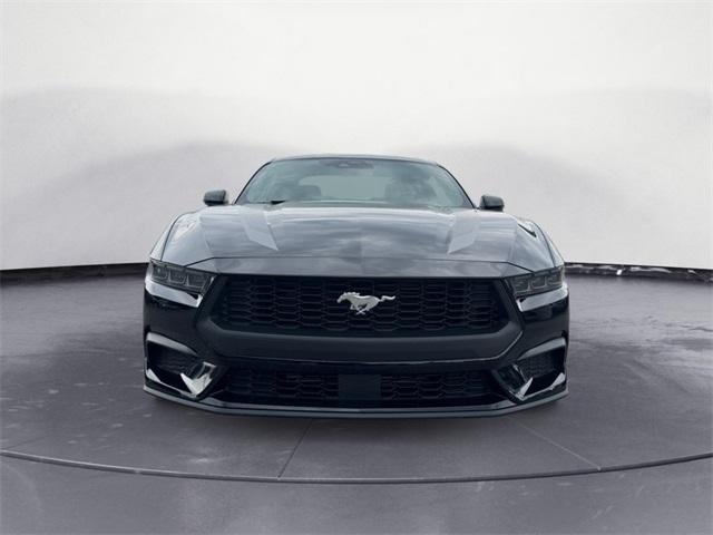 Photo of 2025 Black Ford Mustang