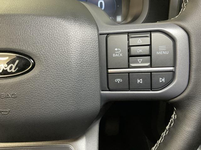 Photo of 2025 Silver Metallic Ford F-150