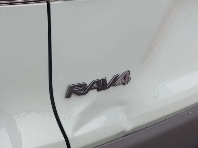 Photo of 2022 Lunar Rock/Ice Edge Roof Toyota RAV4