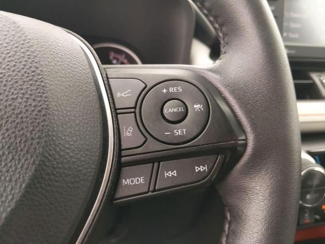 Photo of 2022 Lunar Rock/Ice Edge Roof Toyota RAV4
