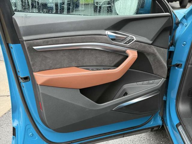 Photo of 2019 Antigua Blue Audi e-tron