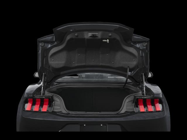 Photo of 2025 Shadow Black Ford Mustang