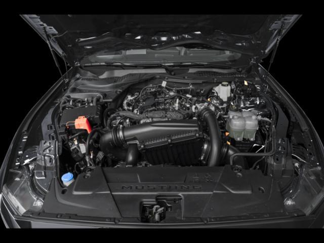 Photo of 2025 Shadow Black Ford Mustang