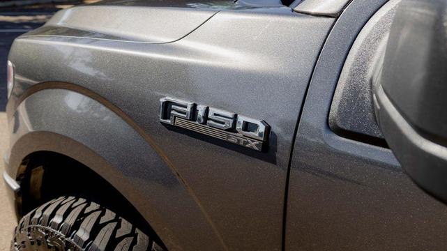 Photo of 2020 Magnetic Ford F-150