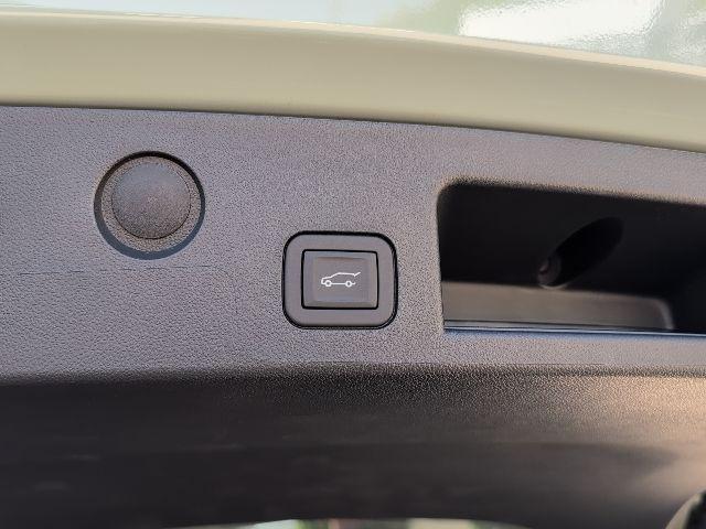 Photo of 2026 Cacti Green Chevrolet Equinox