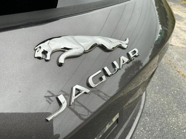 Photo of 2022 Charente Grey Jaguar F-PACE