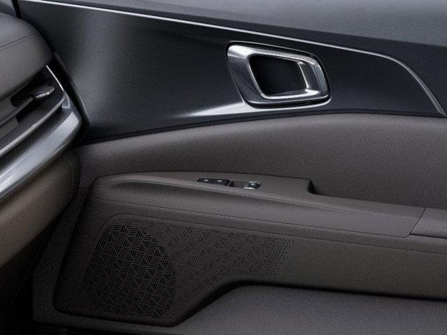 Photo of 2025 METAL Kia Carnival