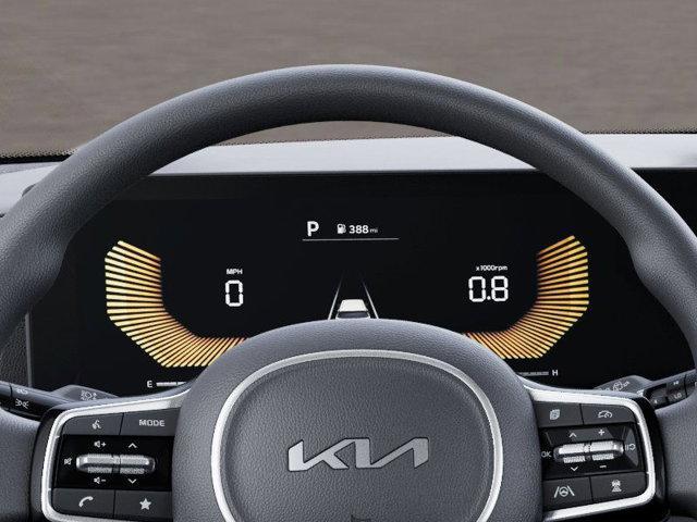 Photo of 2025 METAL Kia Carnival