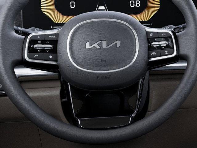 Photo of 2025 METAL Kia Carnival