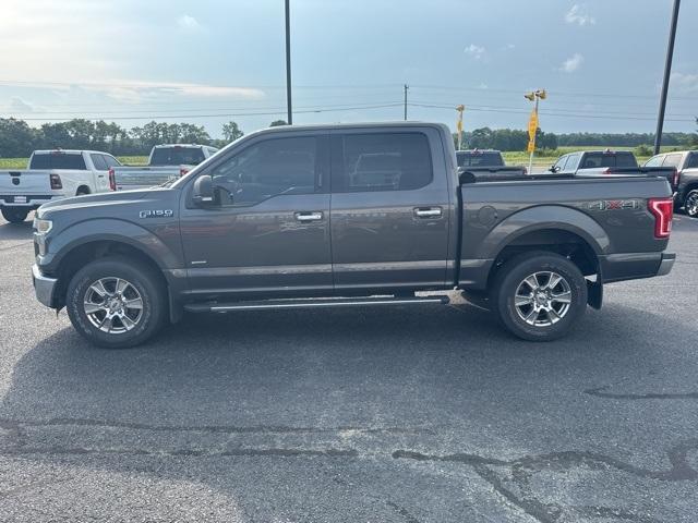 Photo of 2016 Magnetic Ford F-150