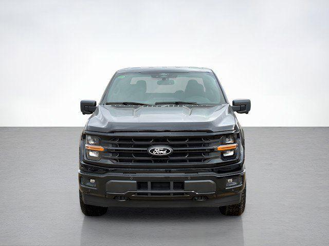 Photo of 2025 Black Metallic Ford F-150