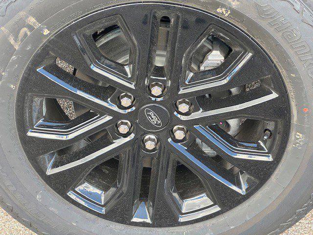 Photo of 2025 Black Metallic Ford F-150