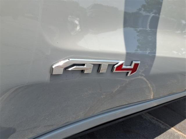 Photo of 2024 Gray GMC Sierra 1500