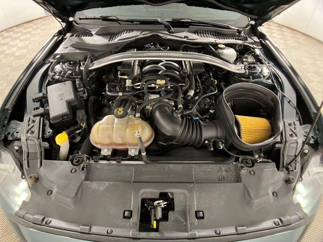 Photo of 2019 Dark Highland Green Ford Mustang
