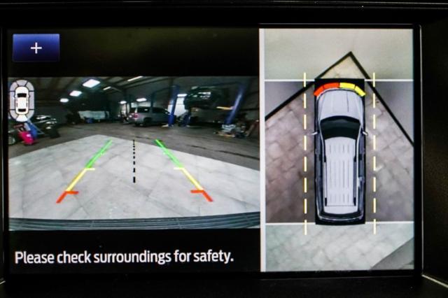 Photo of 2021 Magnetic Ford Expedition Max