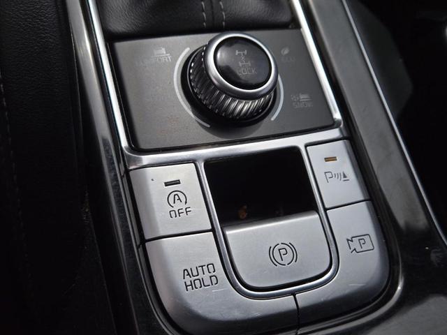 Photo of 2023 Everlasting Silver Kia Telluride