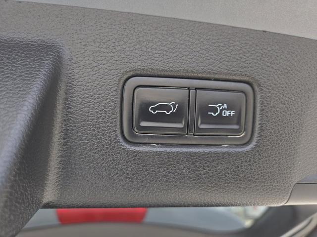 Photo of 2023 Everlasting Silver Kia Telluride