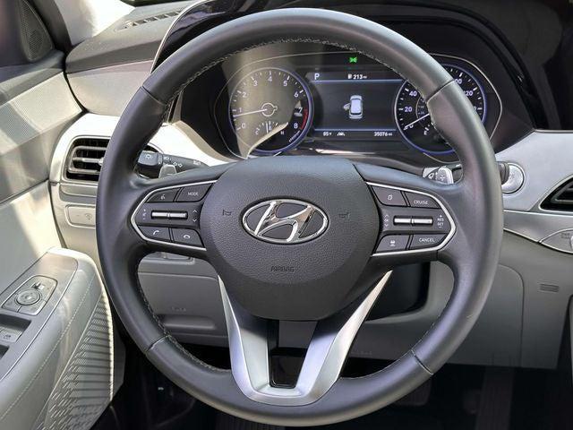 Photo of 2022 Typhoon Silver Hyundai PALISADE