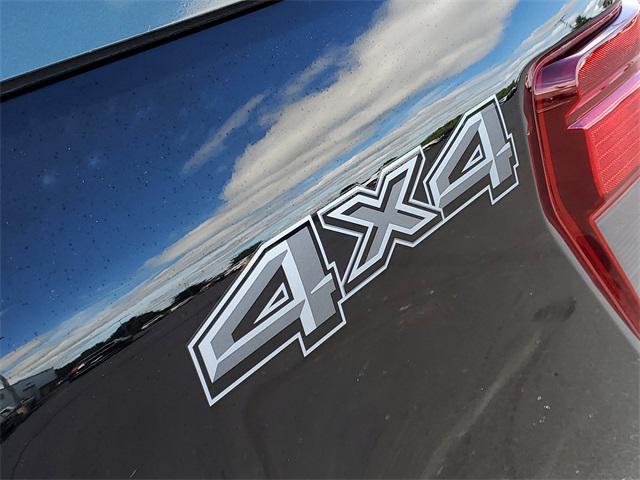 Photo of 2025 Agate Black Metallic Ford F-150