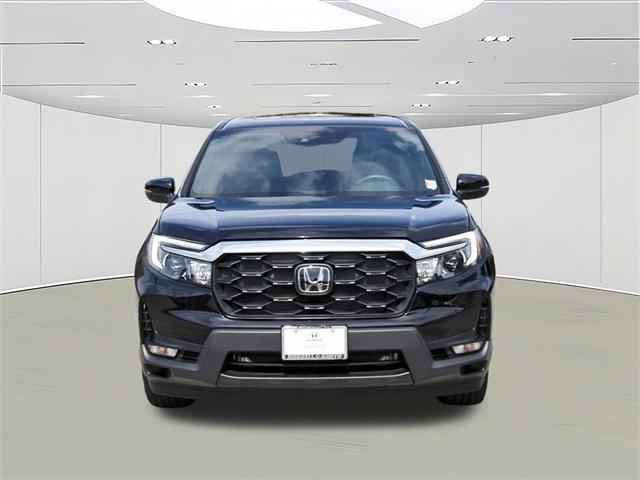 Photo of 2025 Black Honda Passport