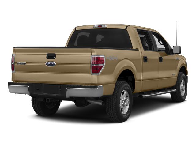 Photo of 2014 Pale Adobe Metallic Ford F-150
