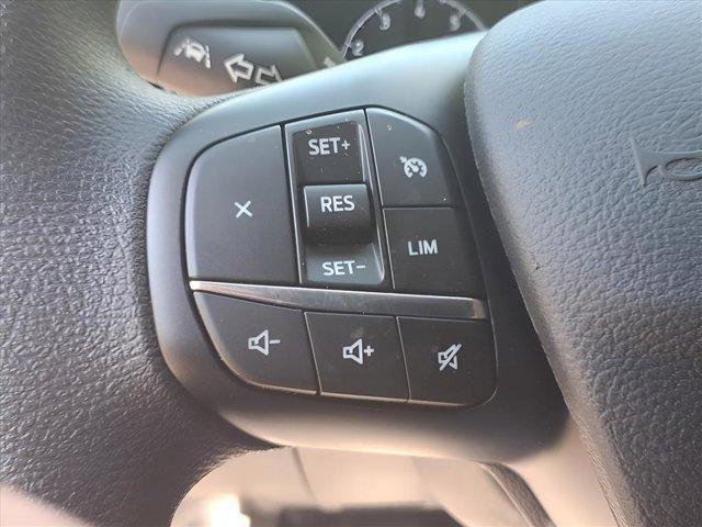 Photo of 2025 Gray Ford Transit-250