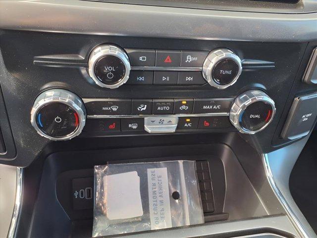 Photo of 2025 Silver Ford F-150