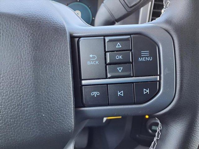 Photo of 2025 Black Ford F-150
