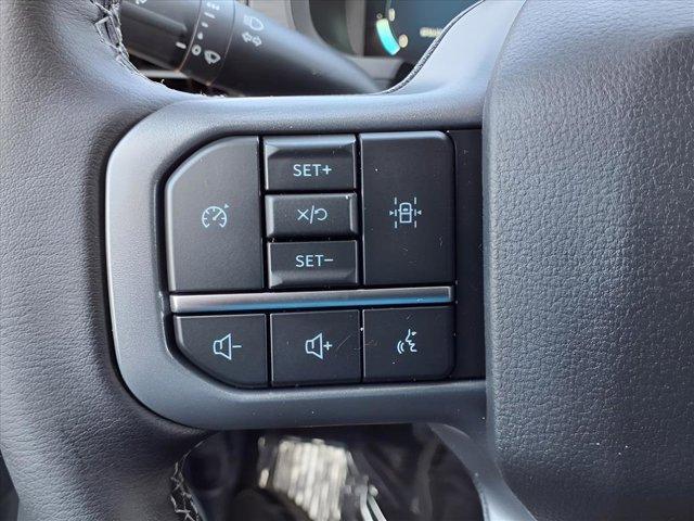 Photo of 2025 Black Ford F-150