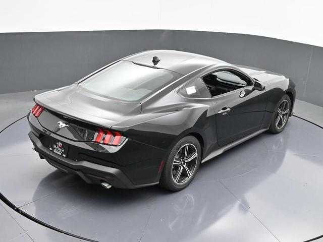 Photo of 2025 Shadow Black Ford Mustang
