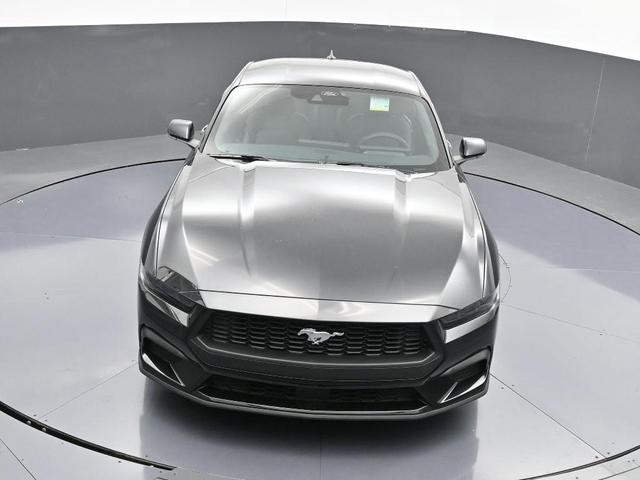 Photo of 2025 Shadow Black Ford Mustang