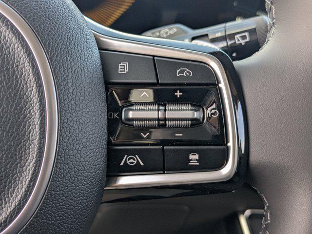 Photo of 2025 Panthera Metal Kia Carnival Hybrid