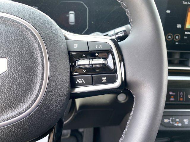 Photo of 2025 Panthera Metal Kia Carnival Hybrid