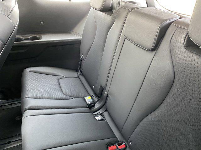 Photo of 2025 Panthera Metal Kia Carnival Hybrid