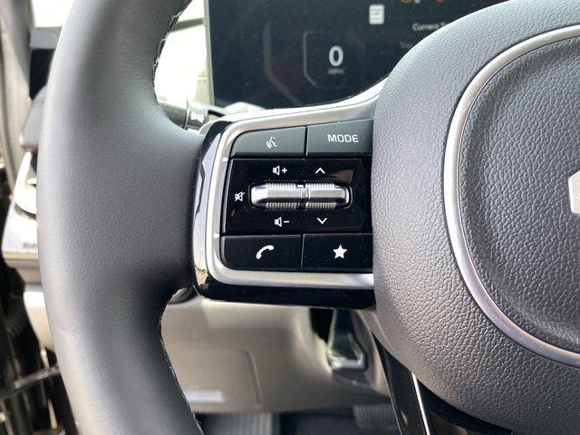 Photo of 2025 Panthera Metal Kia Carnival Hybrid