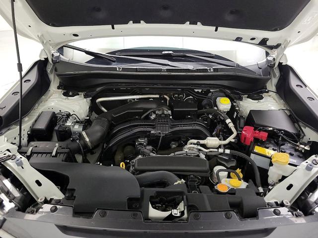 Photo of 2025 White Subaru Forester