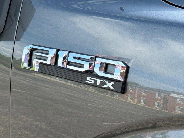 Photo of 2018 Magnetic Ford F-150