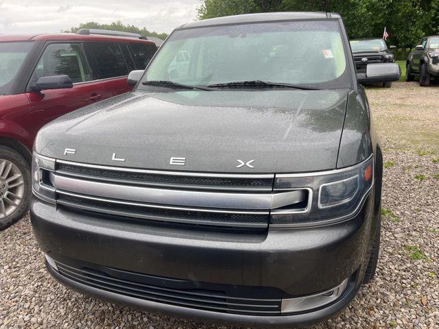 Photo of 2019 Magnetic Ford Flex